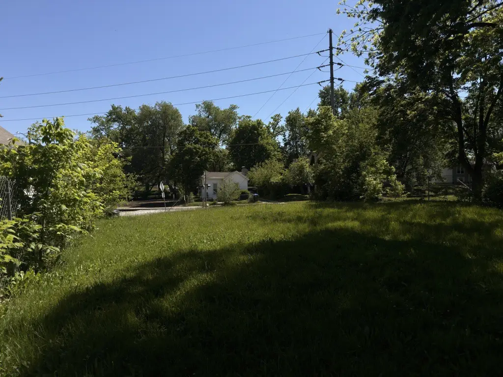 Picture 2