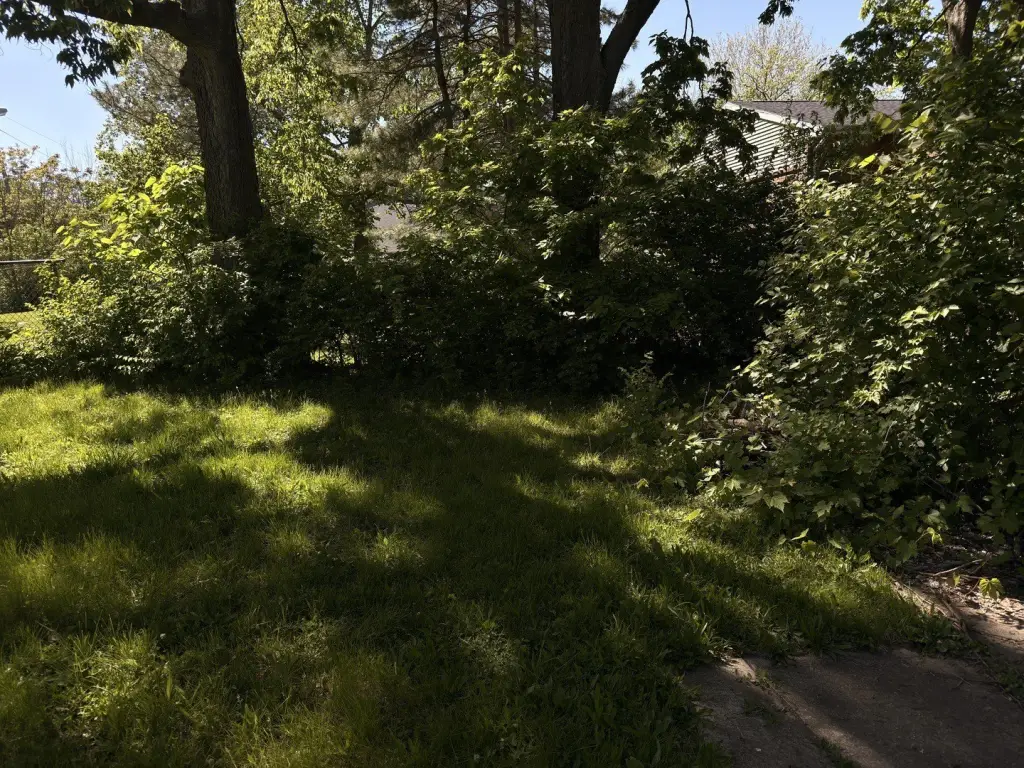 Picture 4