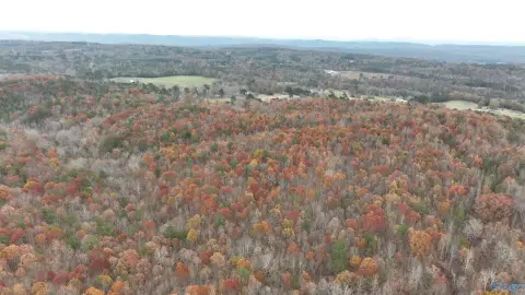 279 Acres of Hunting Land