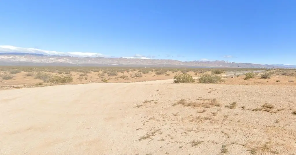 Picture 14