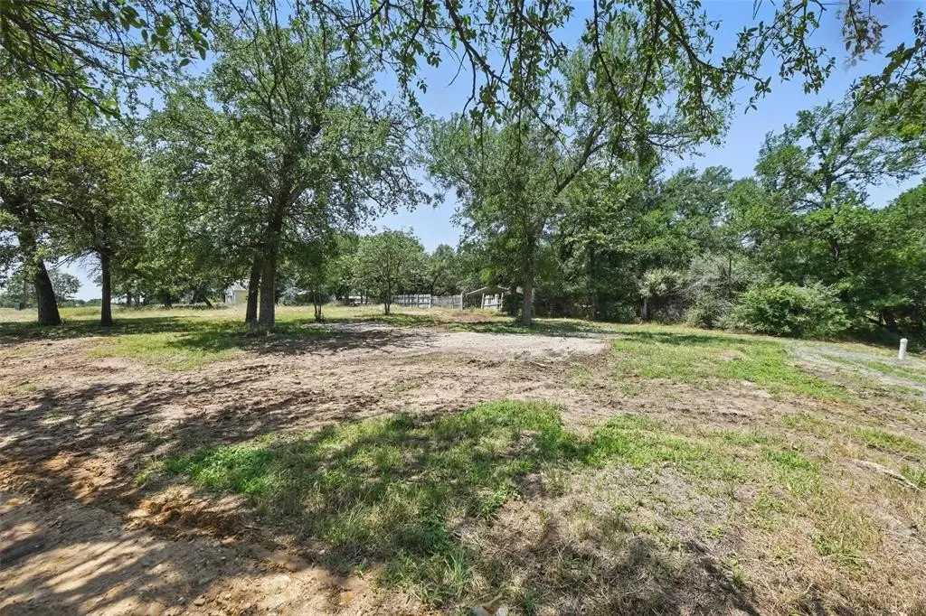 Picture 19