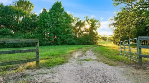 Fenced Agricultural Land with Timber