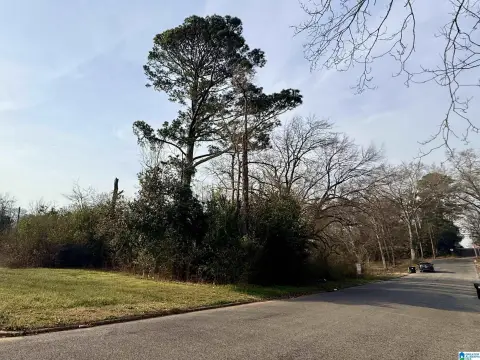 Residential Lot in Sylacauga, AL
