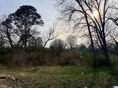 Two Adjoining City Parcels