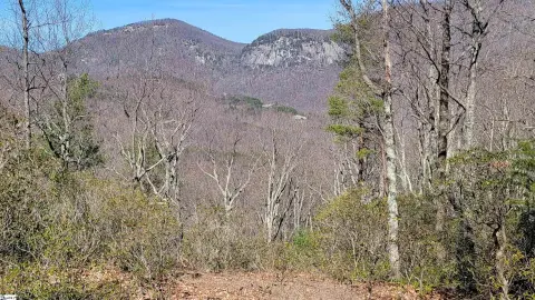 Landrum, SC Residential Lot