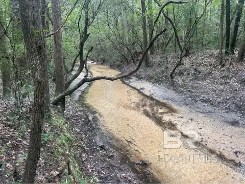 Robertsdale Land with Creek Access
