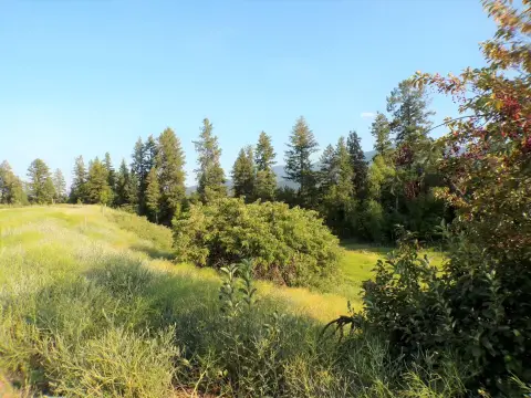 Kettle Falls Acreage Home-Site