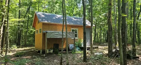 52 Acres of Hunting Land