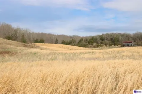 38 Acres Hart County Land