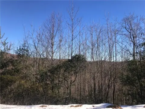 Unrestricted Mountain Land in Purlear