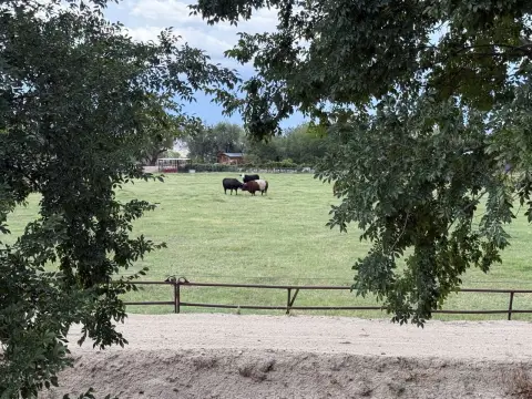Agricultural Land with Irrigation Rights