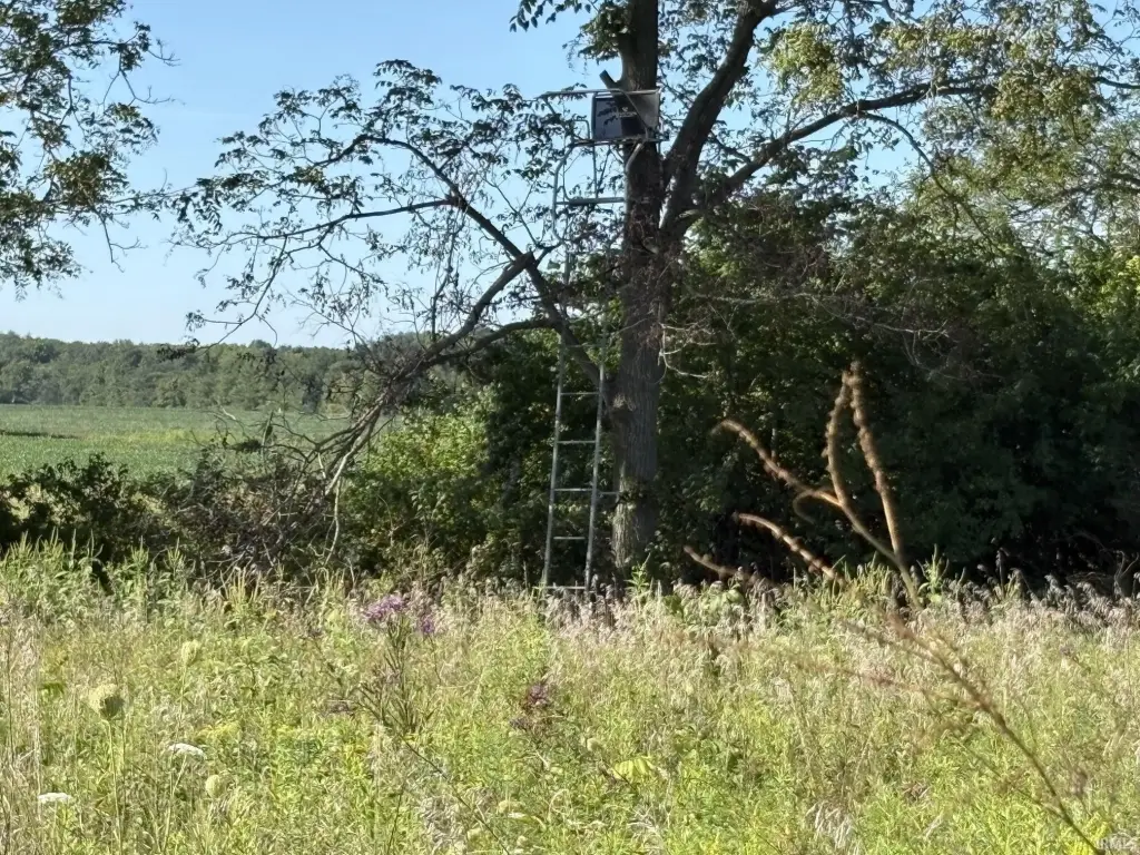 Picture 4