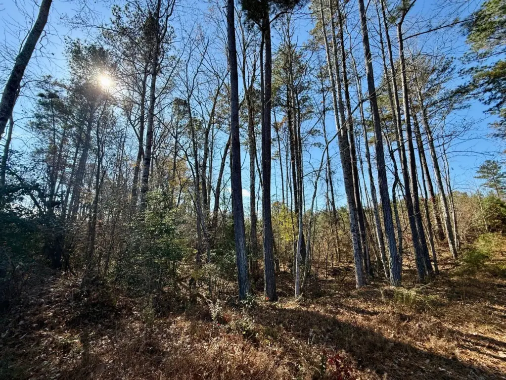 Picture 13