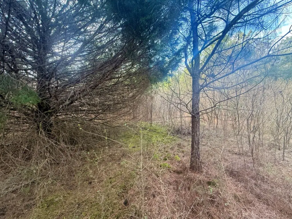 Picture 42
