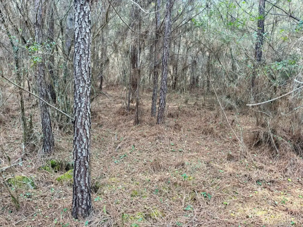 Picture 36