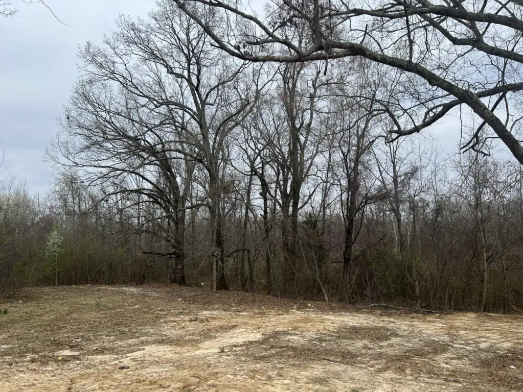 Picture 14