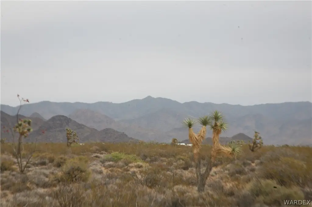 Picture 21