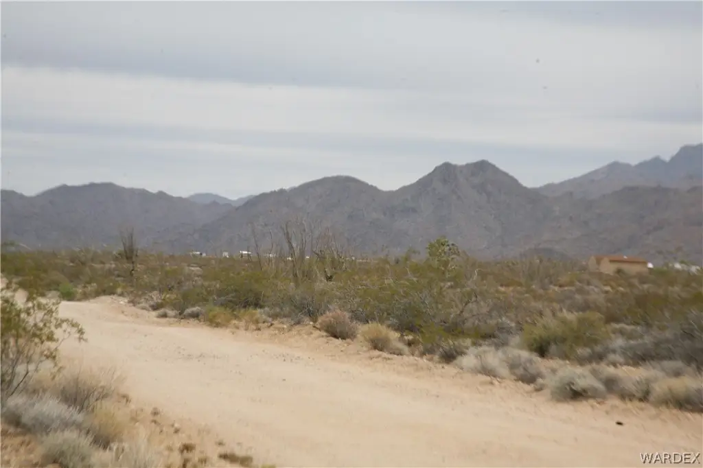 Picture 31