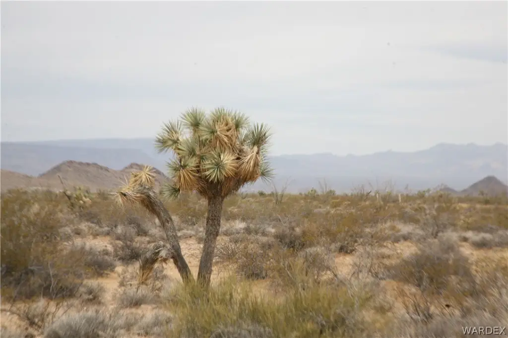 Picture 38