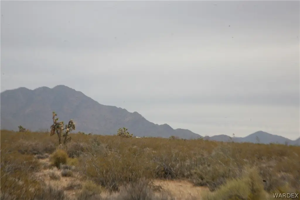 Picture 23