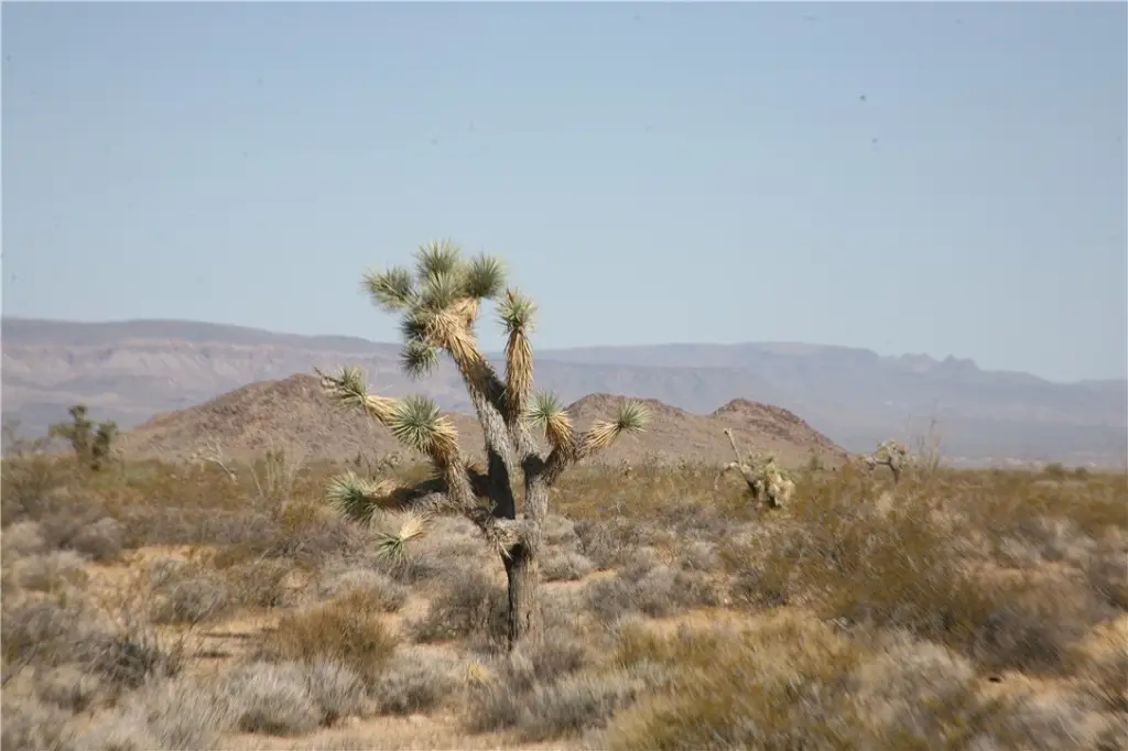 Picture 14