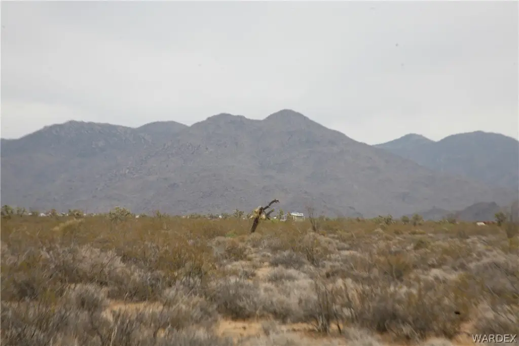 Picture 19
