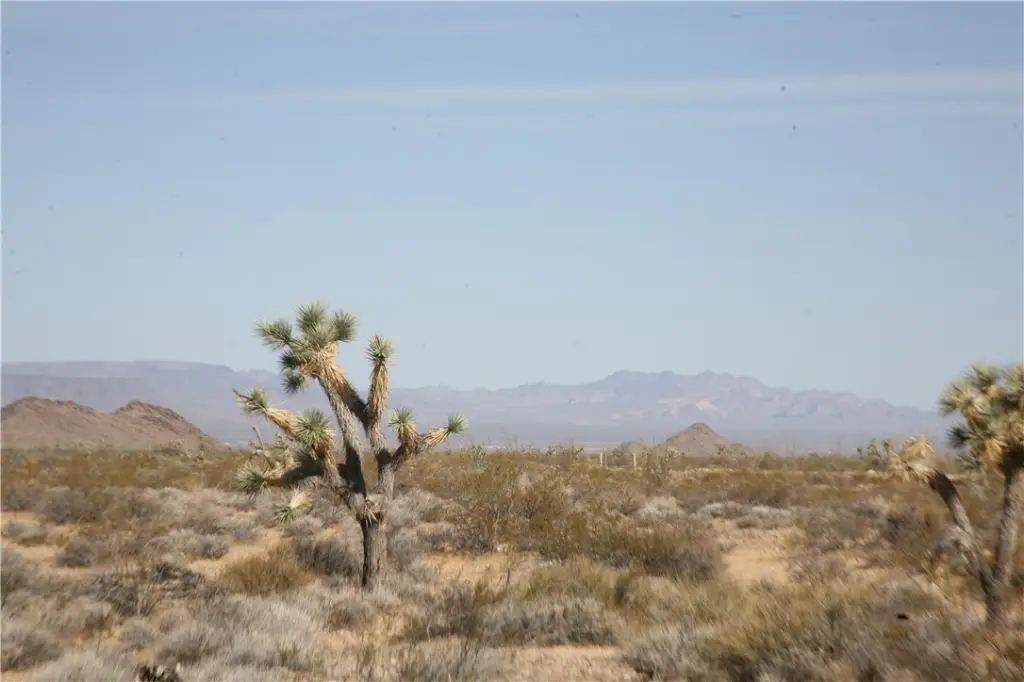 Picture 51