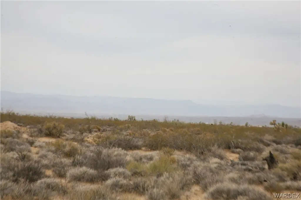 Picture 35