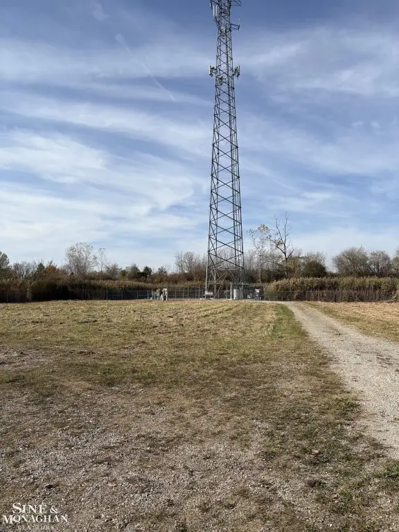 Picture 4