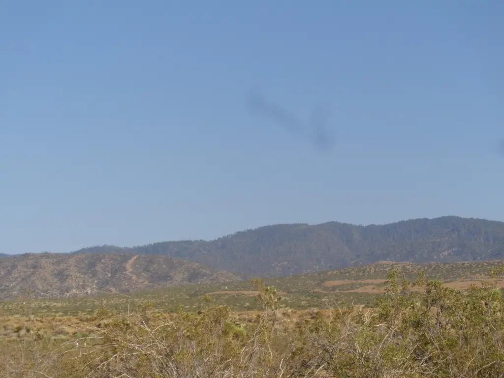 Picture 23