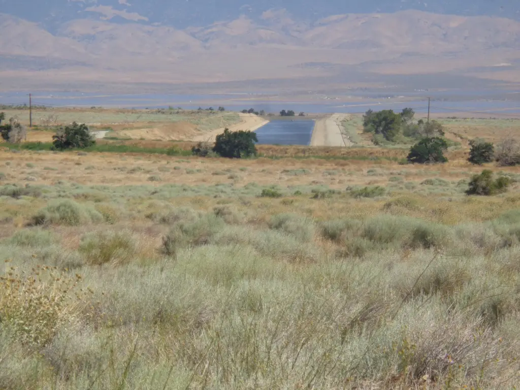 Picture 30