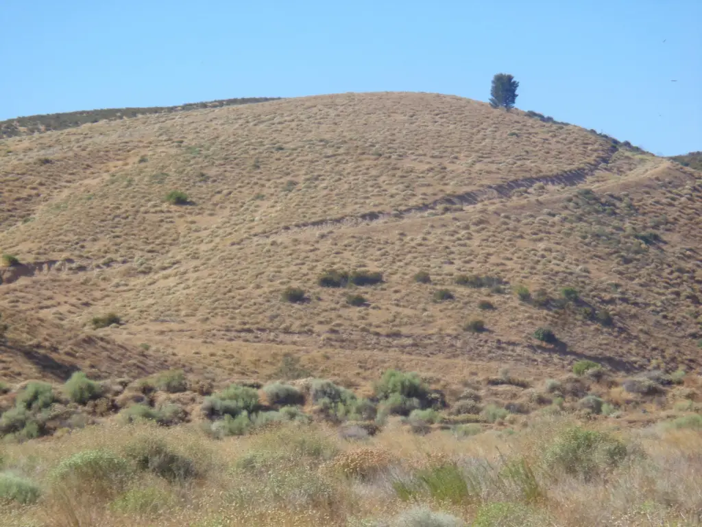Picture 28