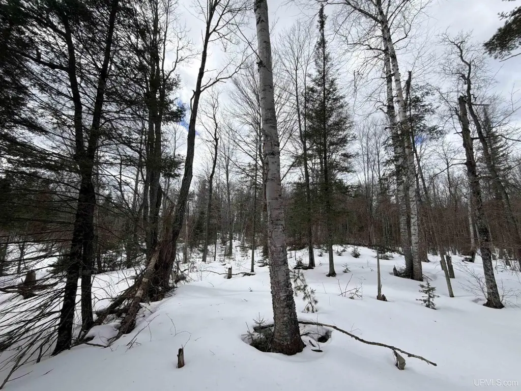 Picture 19