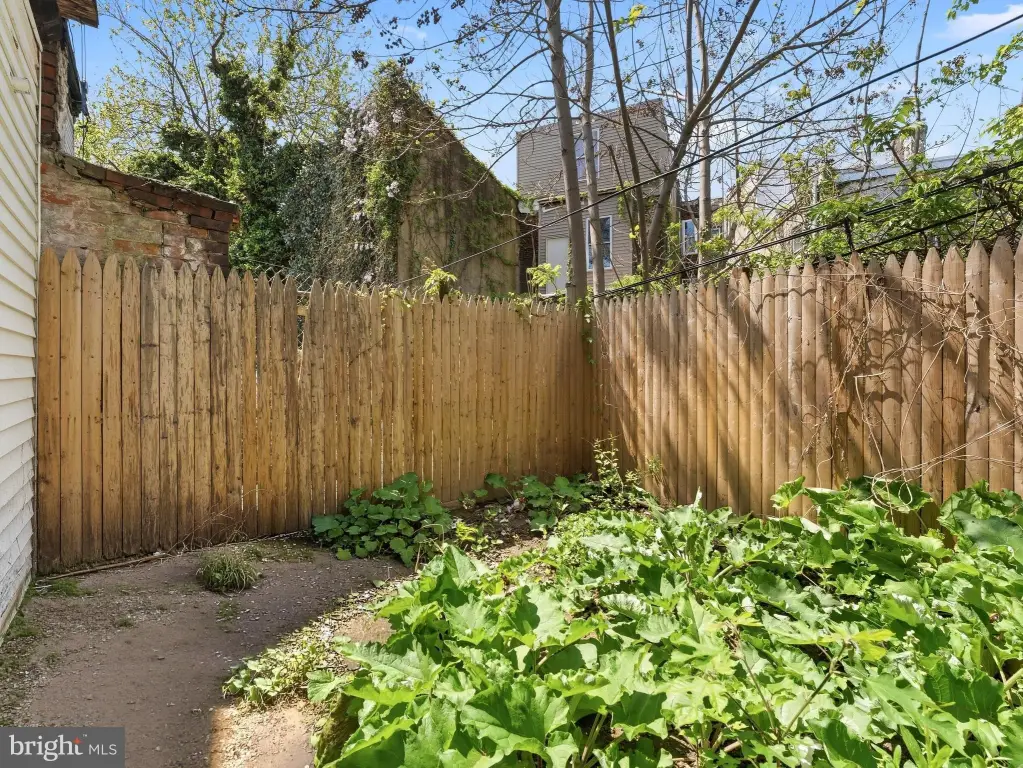Picture 24