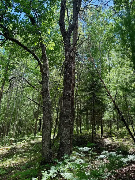 Picture 16