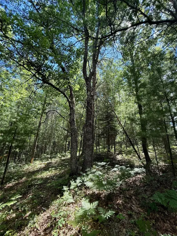Picture 17