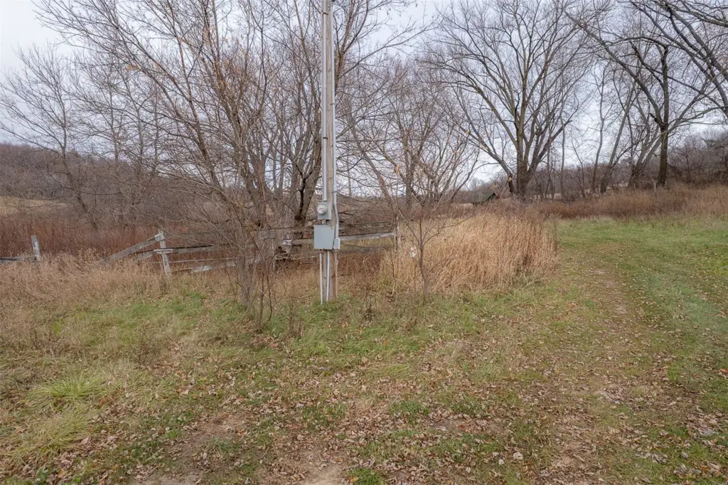 Picture 17