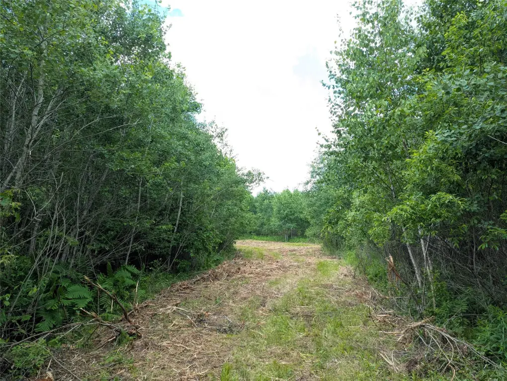 Picture 8
