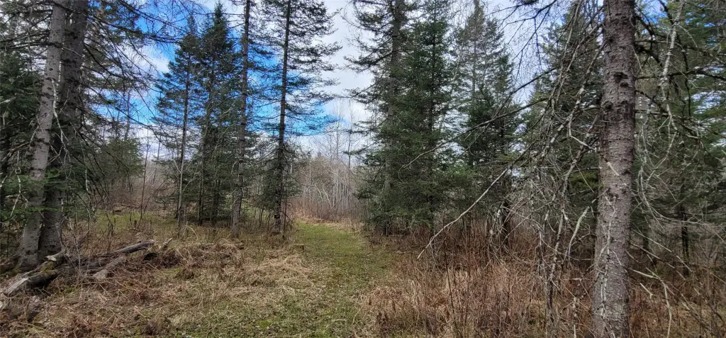 Picture 4