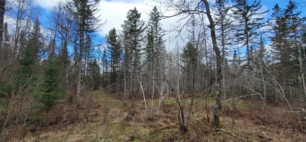 Picture 3