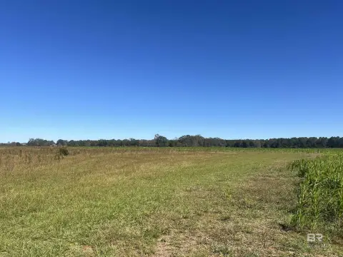 Prime Crop Land in Walnut Hill