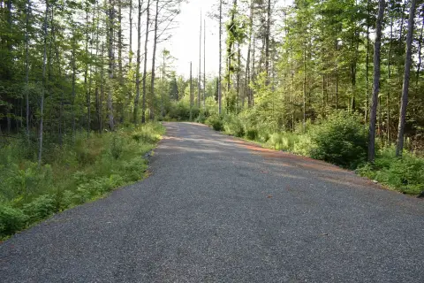 5.6 Acres Wooded Land