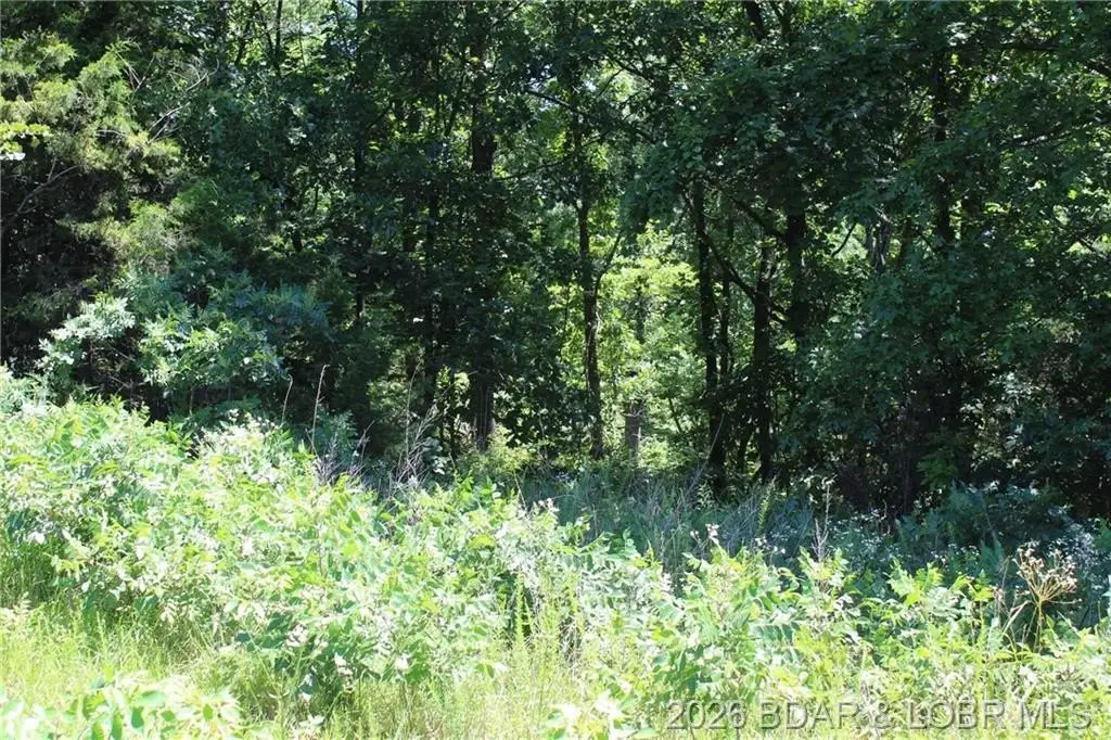 Picture 21