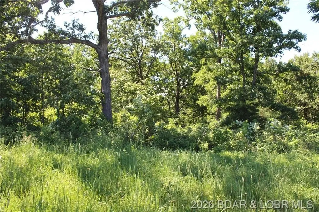Picture 14