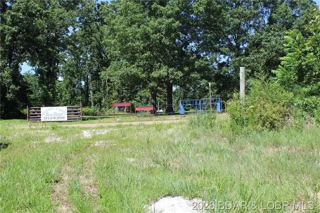 Picture 6