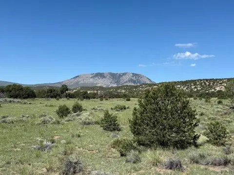 Southern Colorado Land with BLM Access
