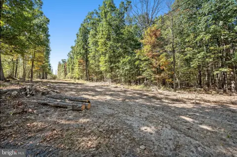 Scenic Wooded Lot Near Winchester