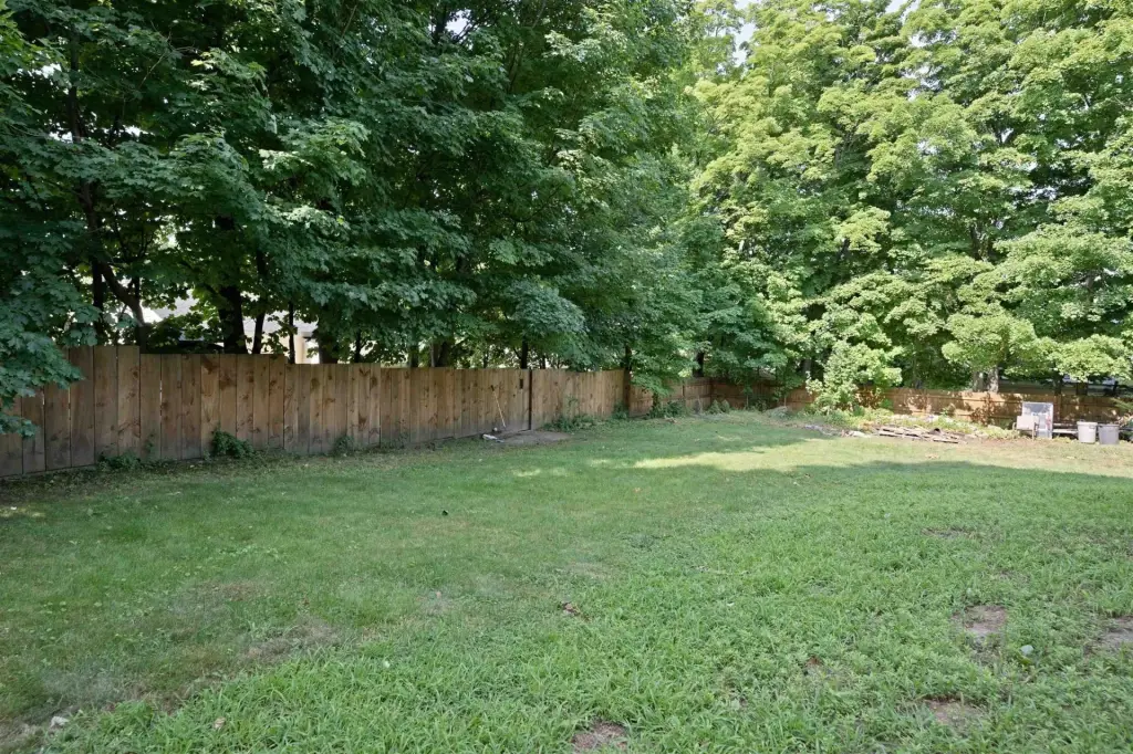 Picture 48