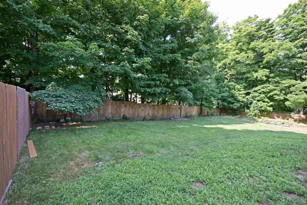 Picture 47