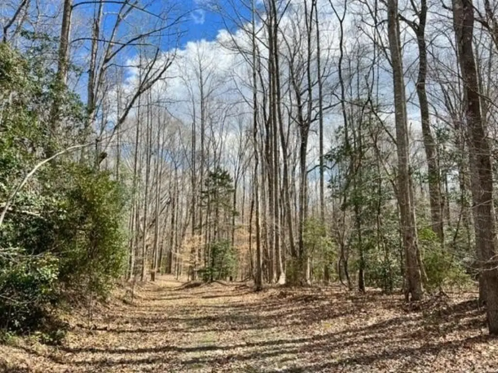 Picture 27